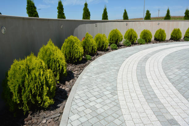 Best Driveway Pavers Near Me  in East Orange, NJ